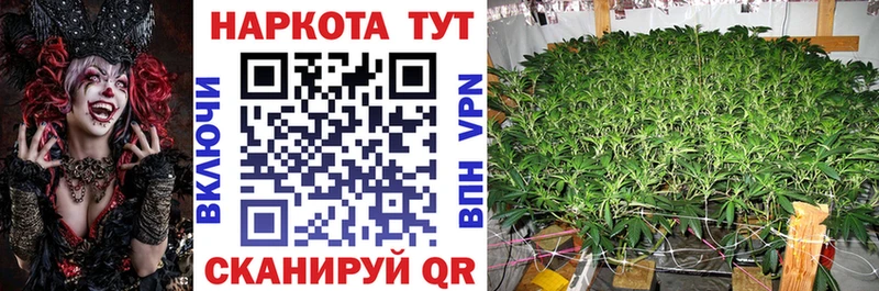 Купить закладку Арзамас Гашиш A-PVP Меф мяу мяу Бошки Шишки БУТИРАТ Псилоцибиновые грибы Cocaine АМФ